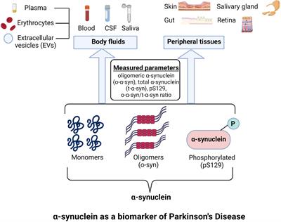 Alpha-Synuclein as a Biomarker of Parkinson’s Disease: Good, but Not Good Enough